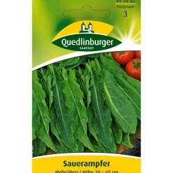 Sauerampfer mehrjährig
