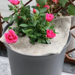 Schafwoll-Disc M 37 x 37 cm für Beet und Pflanzkübel