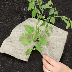 Schafwoll-Disc M 37 x 37 cm für Beet und Pflanzkübel