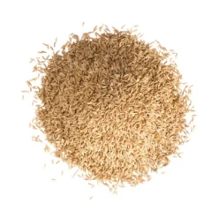 Schattenrasen 1 kg für ca. 50 m²