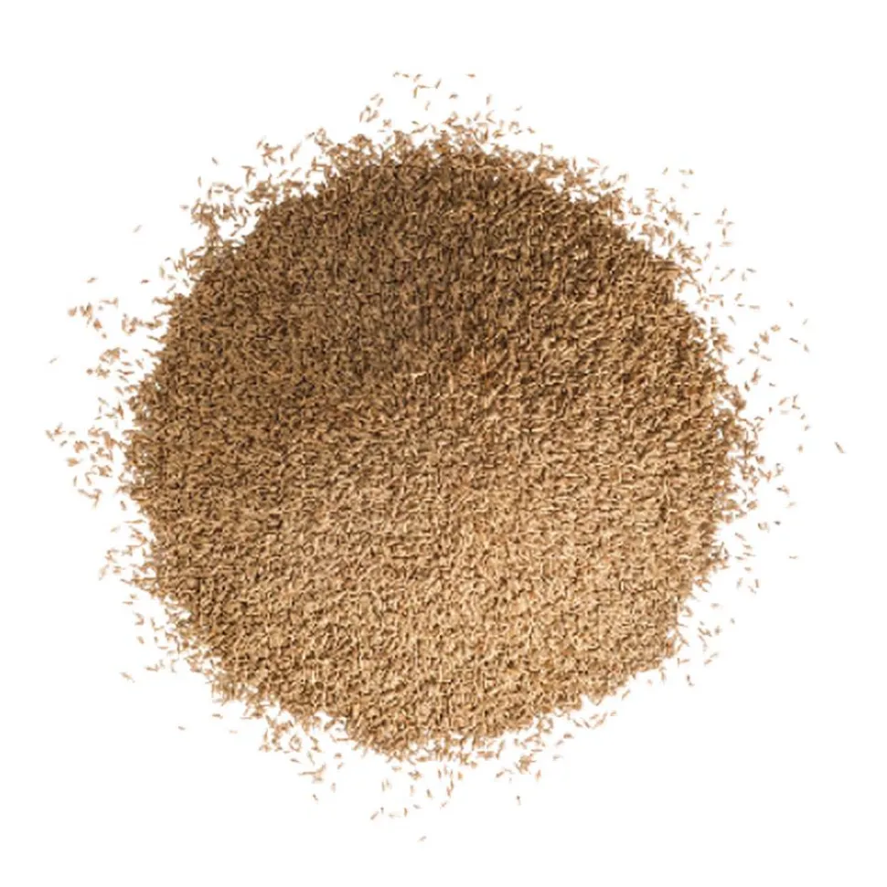 Schattenrasen 1 kg für ca. 50 m²