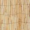 Schilfrohrmatte 300 x 180 cm