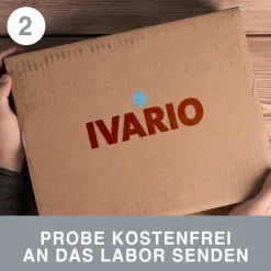 Schimmelanalyse 'Oberfläche' Laboranalyse