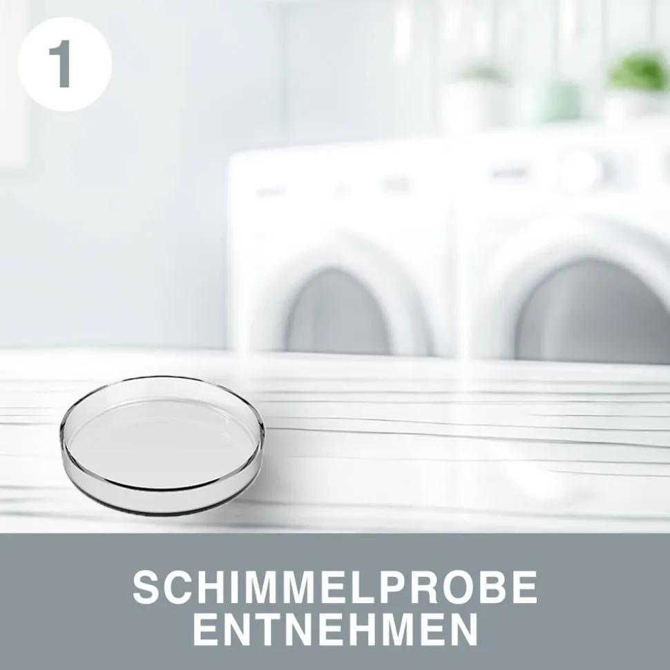 Schimmeltest 'Raumluft' Laboranalyse