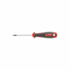 Schraubendreher T 10 x 80 mm