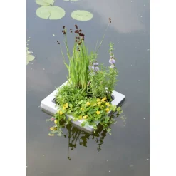 Schwimminsel inkl. 4er Set Pflanzen, 19 cm Topf