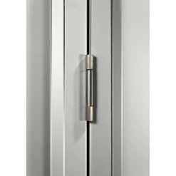 Schwingtür für Gerätehäuser 'Skillion/Dream/Lean-To' silber-metallic