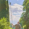 Säge 'StarCut' mit Adapter für Baum- und Strauchschneider 59,4 cm