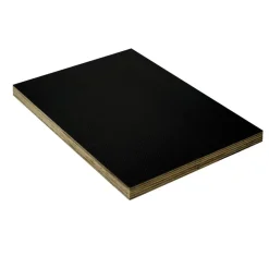 Siebdruckplatte 1250 x 2500 x 12 mm