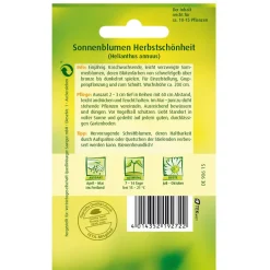 Sonnenblumen 'Herbstschönheit'