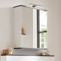 Spiegelschrank 'TE-A' weiß 60,2 x 71,3 x 20 cm