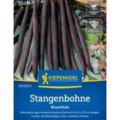 Stangenbohne 'Blauhilde'