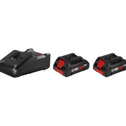 Starter-Set 2 x Akku 'ProCORE18V 4.0Ah' mit Ladegerät 'GAL 18V-40'