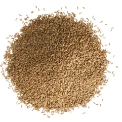 Strapazierrasen 2 kg für ca. 100 m²