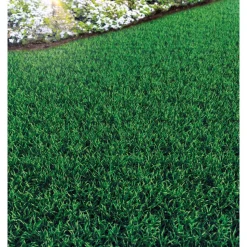 Strapazierrasen 1 kg für ca. 50 m²