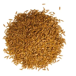 Strapazierrasen 1 kg für ca. 50 m²