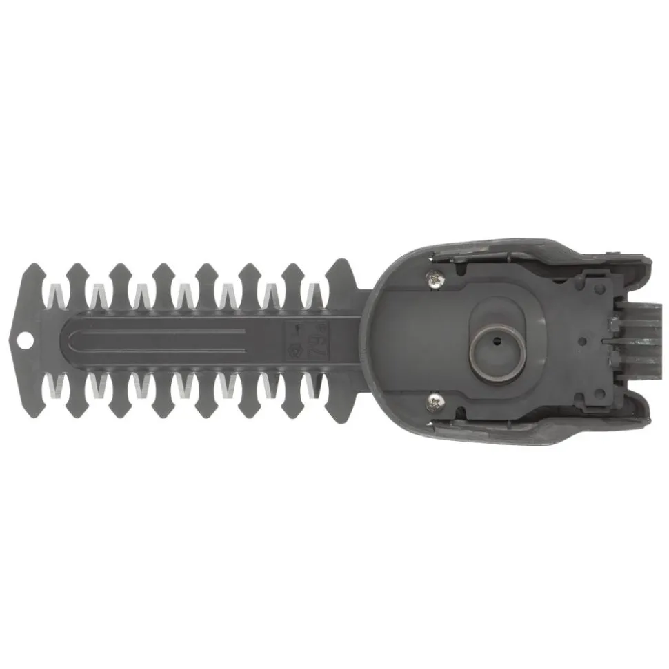 Strauchmesser 12,5 cm