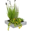 Teich-Schwimminsel mit 4 Pflanzen 25 x 25 cm