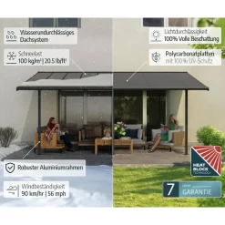 Terrassenüberdachung 'Sierra' anthrazit 295 x 555 cm Polycarbonat transparent