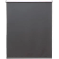 Thermo-Rollo grau 80 x 150 cm
