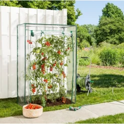 Tomatengewächshaus 100 x 150 x 50 cm