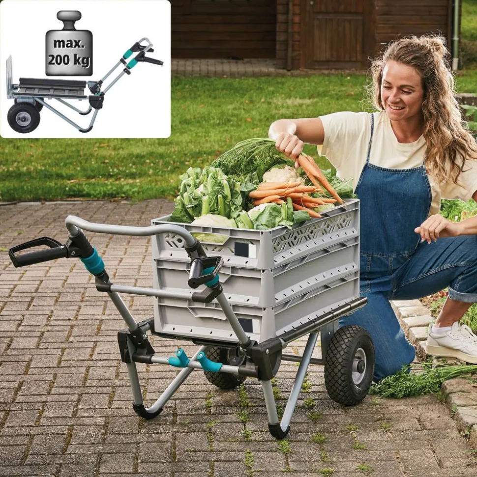 Transportsystem 'TS 2500' 2in1 150 kg