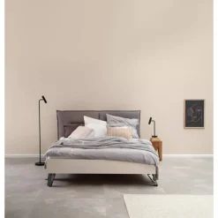 Trendfarbe 'Cosy' beige matt 2,5 l