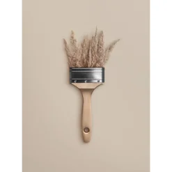 Trendfarbe 'Cosy' beige matt 2,5 l