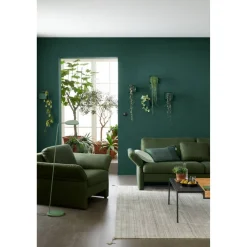 Trendfarbe 'Jungle' graugrün matt 2,5 l