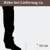 Venusfliegenfalle, 12 cm Topf