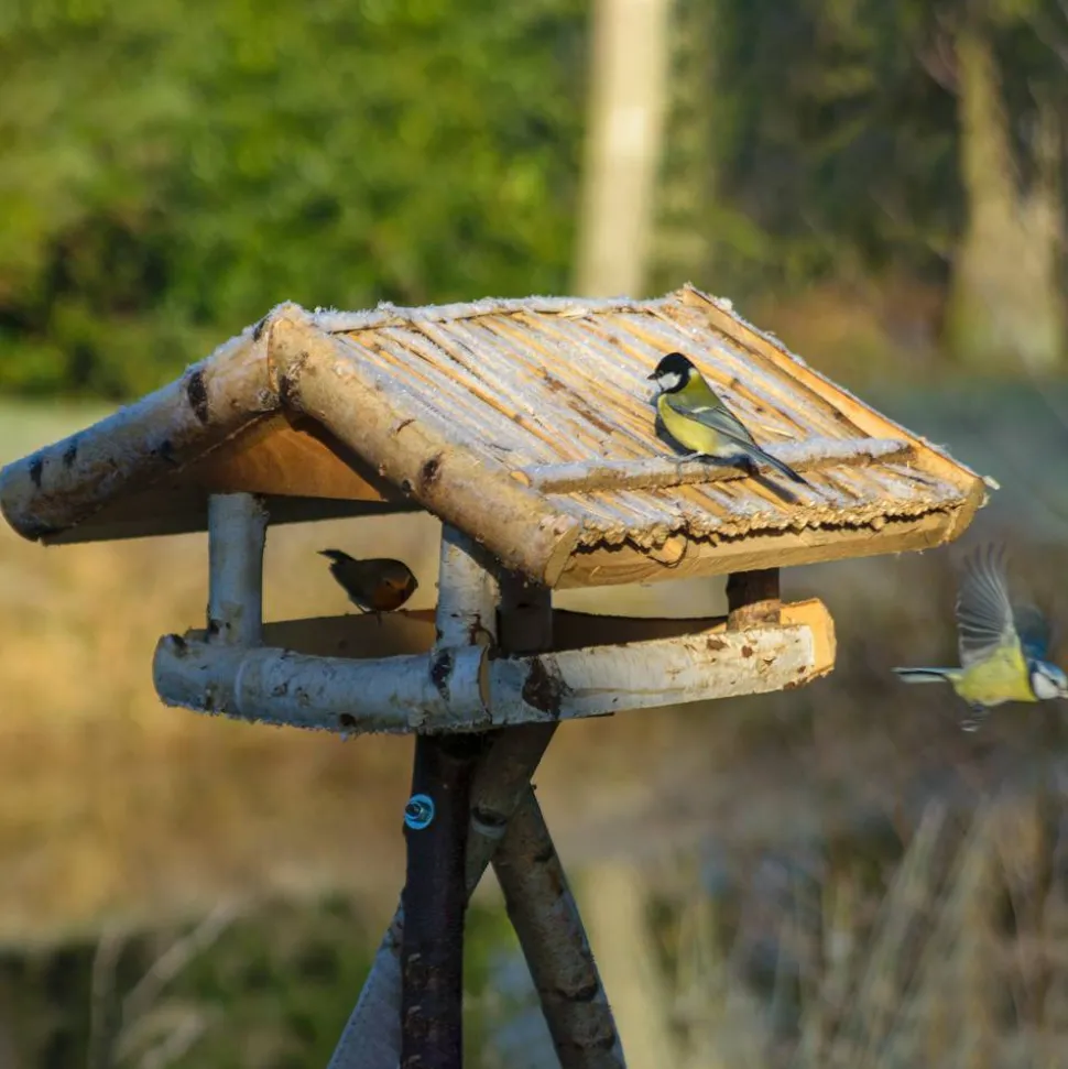 Vogelfutterhaus mit Ständer 50 x 105 x 53 cm