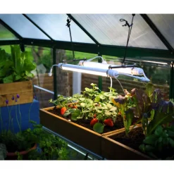 Vollspektrum LED-Wachstumslicht für Gewächshaus 20 W, 61 cm