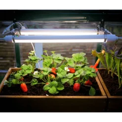 Vollspektrum LED-Wachstumslicht für Gewächshaus 20 W, 61 cm