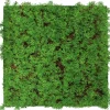 Wandpaneel 'Flora' Thuja 52 x 52 cm