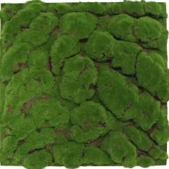 Wandpaneel 'Moos grob' Waldgrün 52 x 52 cm