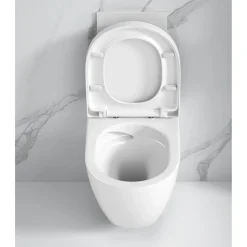 Wand-WC 'Adonis Twister Flush' inklusive WC-Sitz, spülrandlos