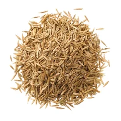 Wassersparrasen 2 kg für ca. 80 m²