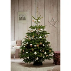 Weihnachtsbaum Nordmanntanne topfgedrückt 100-125 cm