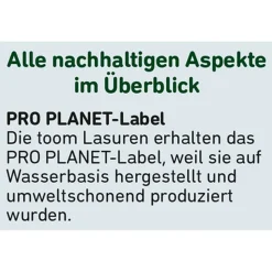 Wetterschutz-Lasur anthrazitfarben 2,5 l