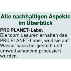 Wetterschutz-Lasur 'Natur' beige 750 ml
