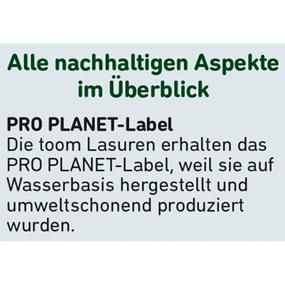 Wetterschutz-Lasur silbergrau 2,5 l