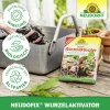 Wurzelaktivator 'Neudofix' 40 g