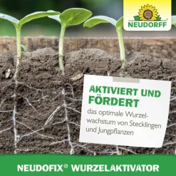Wurzelaktivator 'Neudofix' 40 g