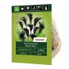 Zantedeschia 'Black Star' 1 Stück