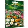 Zinnie 'Profusion' Mischung